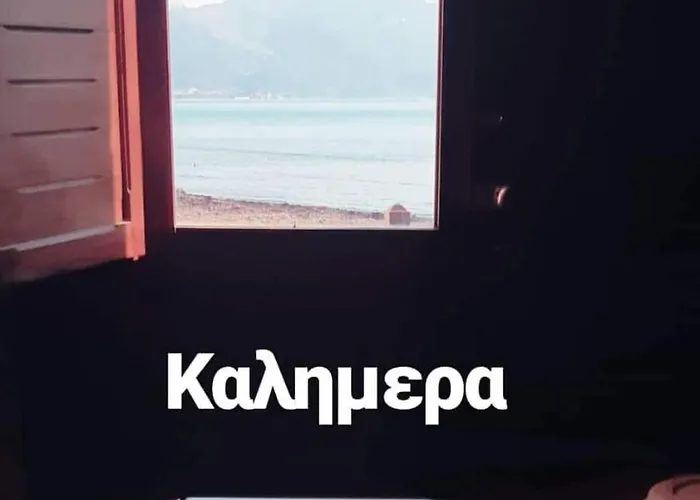 αggi's *