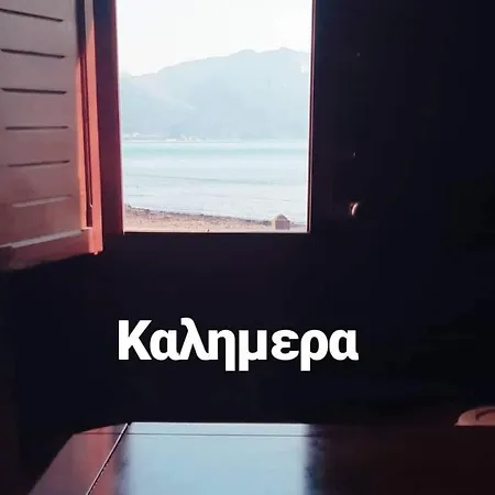 αggi's *